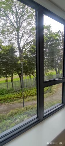a window with a view of a tree outside at Poppy House in Cranford