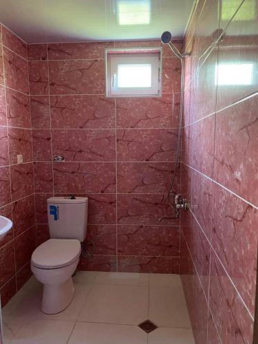 Un baño con inodoro y ducha con ventana. en Hidden Paradise, en Akhaltsikhe