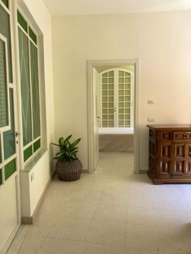 a living room with a plant in the middle at B&B La Sosta degli Artisti in Pietrasanta