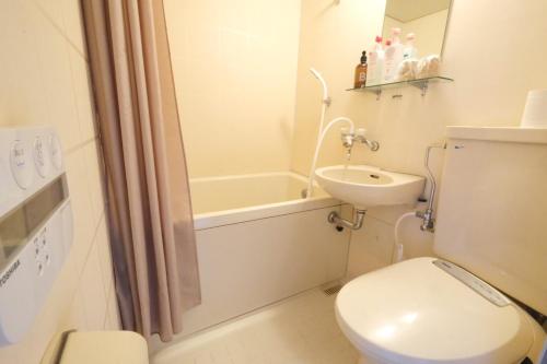 a small bathroom with a toilet and a sink at Arise Hakuba Lodge in Nagano