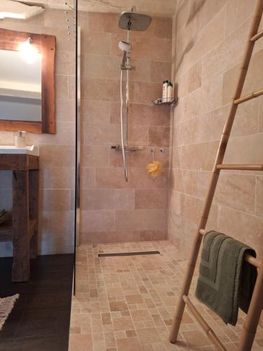une douche avec une porte vitrée dans une salle de bain dans l'établissement Maison de village médiéval surplombant les méandres de la loire, à Saint-Maurice-sur-Loire