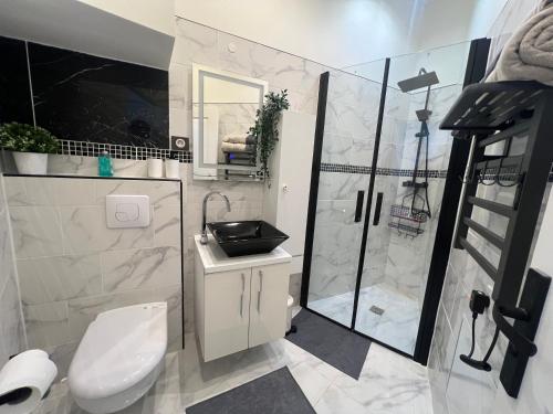 une salle de bain avec toilettes, douche et lavabo dans l'établissement Studio proche du stade de France, à Saint-Denis