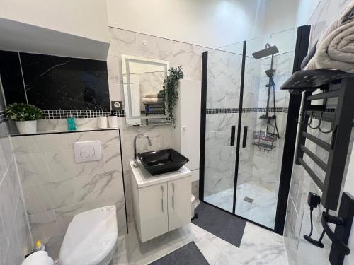 une salle de bain avec toilettes, lavabo et douche dans l'établissement Studio proche du stade de France, à Saint-Denis