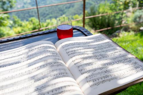 an open book on a table with a glass of wine at La Casa sul Forte in Seravezza