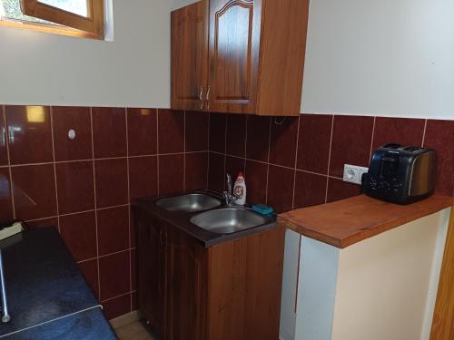 a small kitchen with a sink and a microwave at Zanati Apartmannház in Nagykapornak