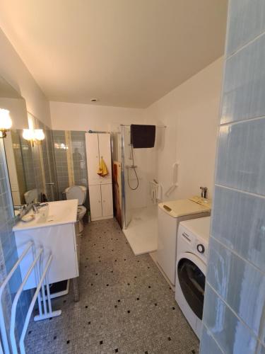 une salle de bain avec un lavabo et une machine à laver dans l'établissement Les jardins de Felix, à Bourges