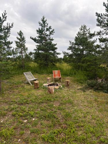 two chairs and logs in a field with trees at Ronga saunamaja in Ilmasoo