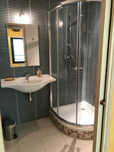 une salle de bain avec douche et lavabo dans l'établissement Chambre d'hôtes La Dentalie, à Rouffignac-Saint-Cernin-de-Reilhac