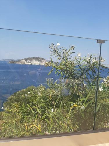 a window with a view of the ocean and a plant at Casa Picimenti Zakynthos Marathias Swimming Pool Ground Floor Villa in Marathias
