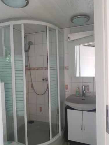 a bathroom with a shower and a sink at Waldbadhäusel Naturbad-Bungalow in Neuwiese