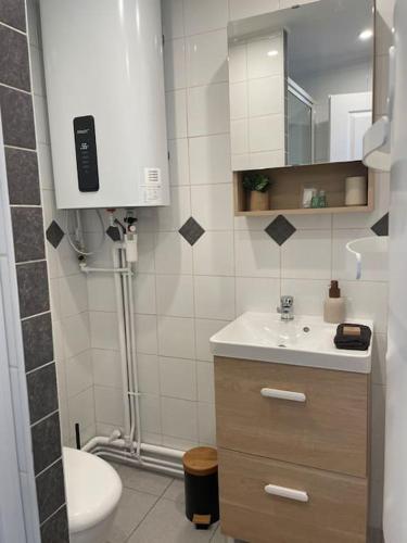 une salle de bain avec un lavabo, des toilettes et un miroir dans l'établissement Studio -La madeleine- proche Gares de Lille, à Lille