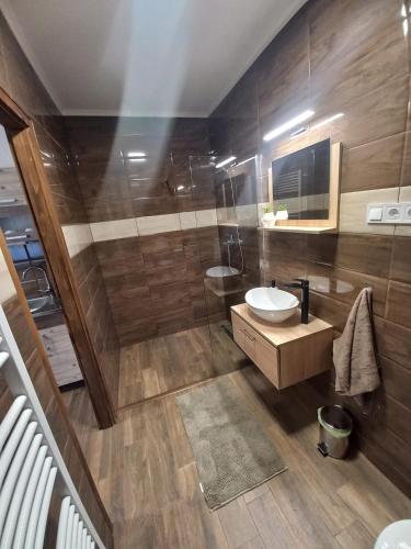 a bathroom with a sink and a mirror at Oázis Apartman in Sárospatak