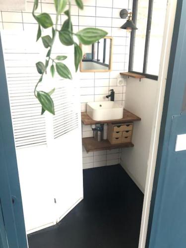 une salle de bain avec un lavabo et un miroir dans l'établissement Studio-Loft lumineux et calme, à Bordeaux