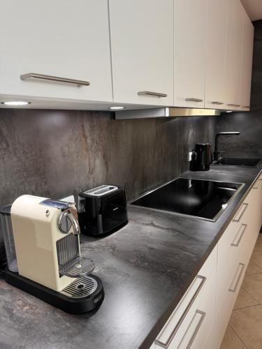a kitchen counter with a toaster and a sink at Holiday home Ana in Fokovci