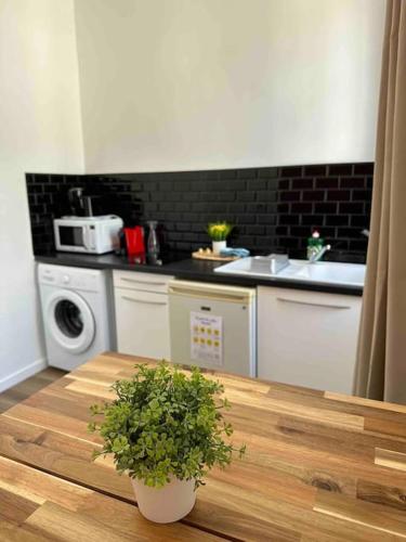 a kitchen with a table with a plant on it at Les Arches in Saintes