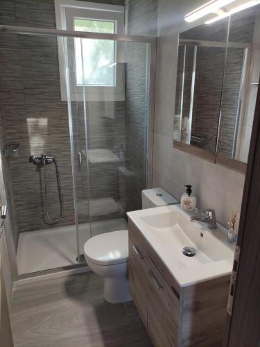 a bathroom with a shower and a toilet and a sink at Argéiko traditional house in Kariá