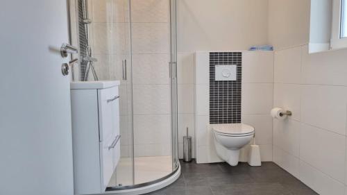 a bathroom with a shower and a toilet at Haus Landliebe in Gremersdorf