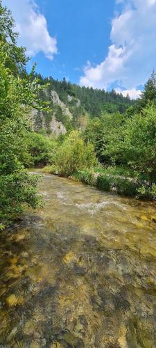 a dirt road next to a river with trees at Babina djeca in Pljevlja
