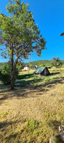 a tree in the middle of a field with a house at Babina djeca in Pljevlja