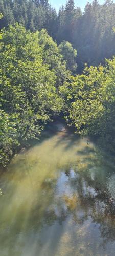 an aerial view of a river with trees at Babina djeca in Pljevlja