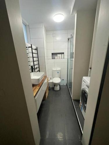 a bathroom with a toilet and a sink and a shower at Zen Queendom - Garden View in Newport