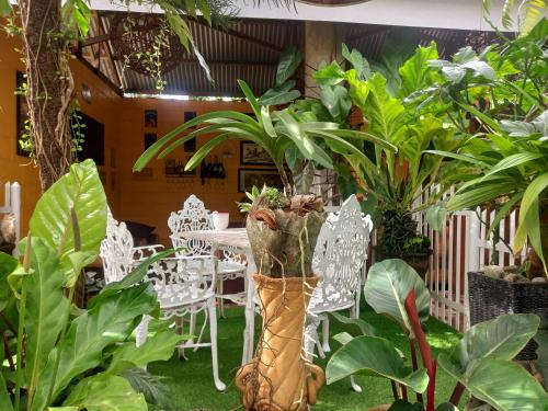 a garden with a table and chairs and plants at Hidden Tourist Inn in Abu