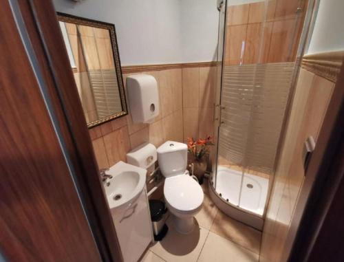 a bathroom with a toilet and a sink and a shower at Jedności Hostel in Zielona Góra