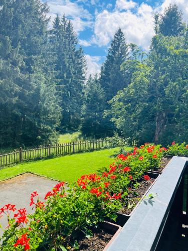 a bench in a garden with red flowers at Hotel und Berggasthof Tanzbuche in Friedrichroda
