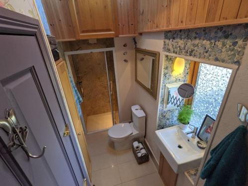 a small bathroom with a toilet and a sink at Secluded Private Cottage Hot-tub, Sauna & Fire-pit in Carrick on Shannon