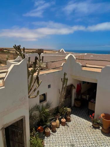 a white building with cacti and potted plants at Riad Sahara Sunset Beach Douira Agadir in Douaïra