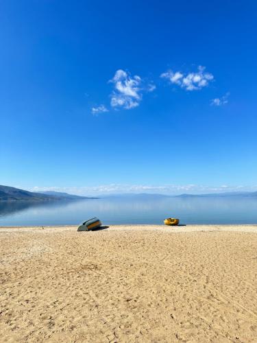 Příroda nedaleko apartmánu