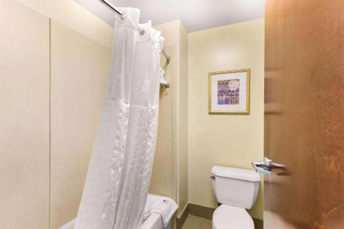 a white shower curtain in a bathroom with a toilet at Comfort Suites Columbia Gateway in Elkridge