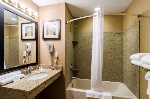 a bathroom with a sink and a tub and a shower at Comfort Suites in Gothenburg