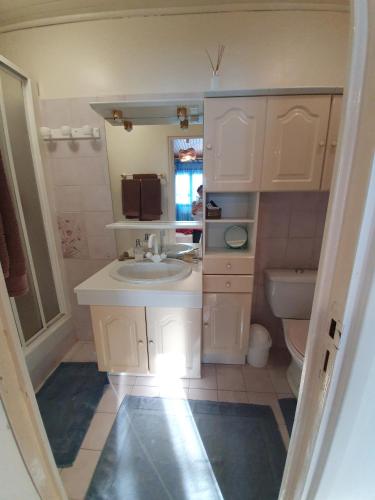 une petite salle de bain avec un lavabo et des toilettes dans l'établissement Appt cosy rez de villa, à Furiani