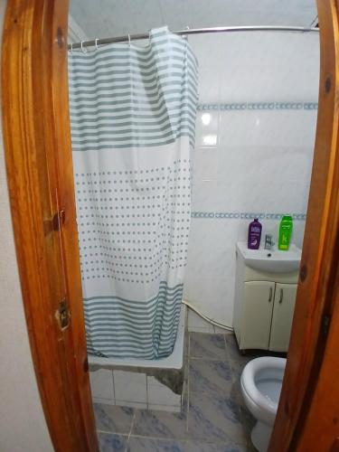 a bathroom with a shower curtain and a toilet at apartment for rent STD in Chişinău