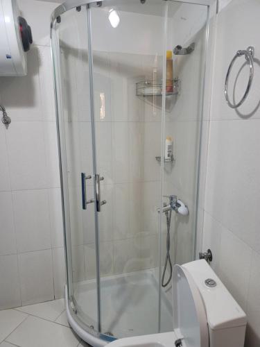 a bathroom with a glass shower with a toilet at Lula Guesthouse in Gjirokastër