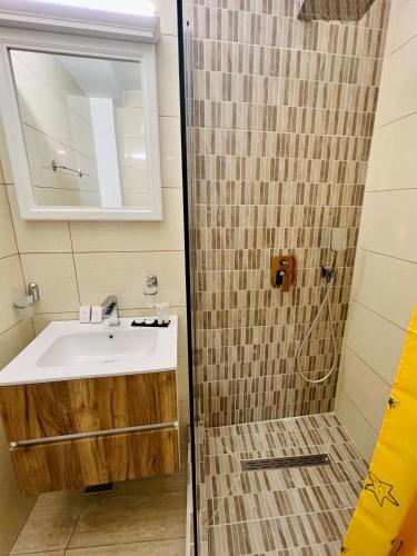 a bathroom with a sink and a shower at Next Studio Old Town in Constanţa