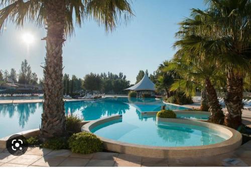 une grande piscine avec des palmiers et un kiosque dans l'établissement Mobil Home 2 chambres, 4 à 6 personnes, Vias Plage, Camping La Carabasse - 4 étoiles, à Vias