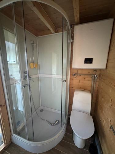 OgureckajaLangino Land的带淋浴和卫生间的浴室