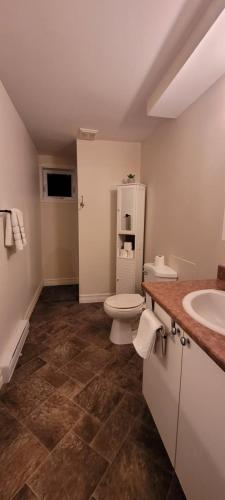 ein Badezimmer mit Toilette und Waschbecken in der Unterkunft Le Repaire Secret in Saint-Donat-de-Montcalm