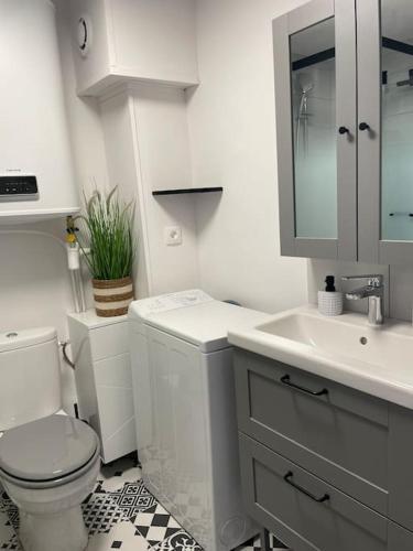 une salle de bain blanche avec des toilettes et un lavabo dans l'établissement Chez BA&PA, à LʼIsle-sur-la-Sorgue