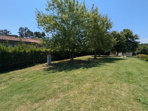 a yard with two trees in the grass at Hotel Carignano in Lucca