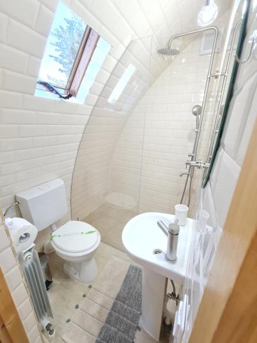 a bathroom with a toilet and a sink at Căsuțe în mijlocul naturii - Wild Camp Avrig in Avrig