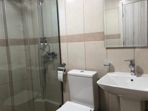 a bathroom with a shower and a toilet and a sink at Alkyon Apartments Studios in Platanitis