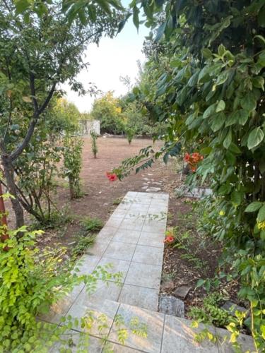 Cosy spot near the beach only 45 min from Athensにある庭