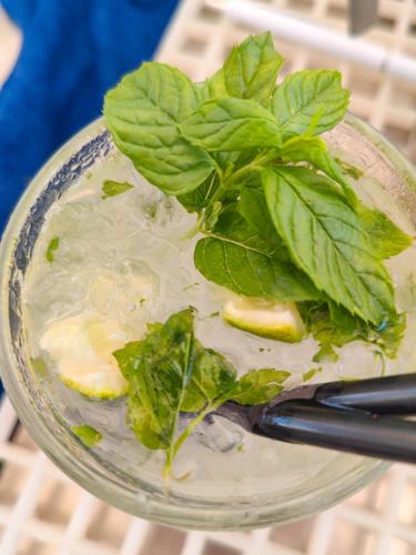 Bebidas en Hotel Lakaj