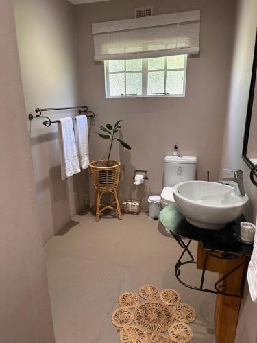 a bathroom with a sink and a toilet at Eagles Rest Cottage in Greytown