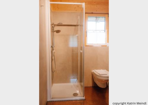 a bathroom with a shower and a toilet at Das Paradieschen Edlitz - stilvolles Blockhaus mit Kamin in Edlitz