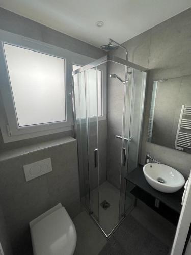 une salle de bain avec une douche, des toilettes et un lavabo dans l'établissement M50 Marquer Jolie chambre, à Annemasse