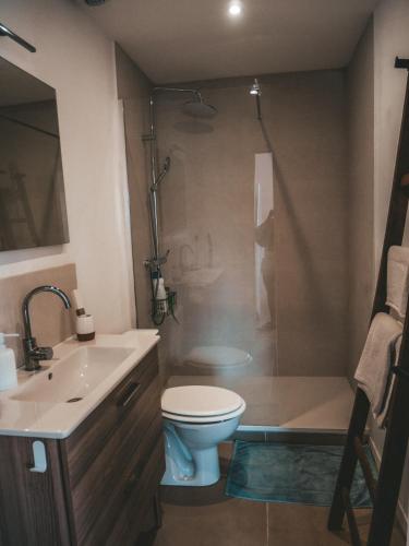 une salle de bain avec toilettes, lavabo et douche dans l'établissement La bodeguita terrasse, à Saint-Génis
